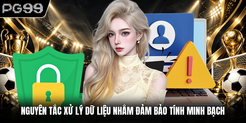 Nguyên tắc xử lý dữ liệu nhằm đảm bảo tính minh bạch